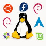 Transitioning from Windows 10 to Linux: Which distro is right for your employees?